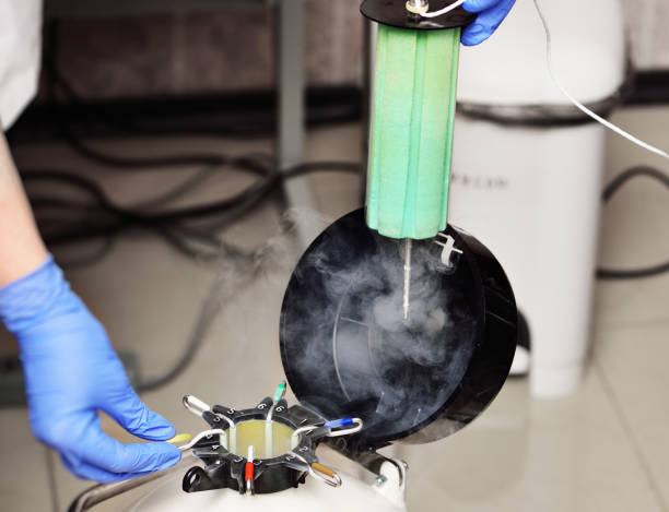 mve液氮罐 mve液氮罐